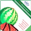 E-Liquid eVo Wild Watermelon