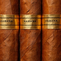 E-Liquid Hangsen HA Tobacco (Havana)